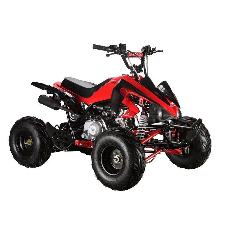 Cheap quad shop bikes for kids